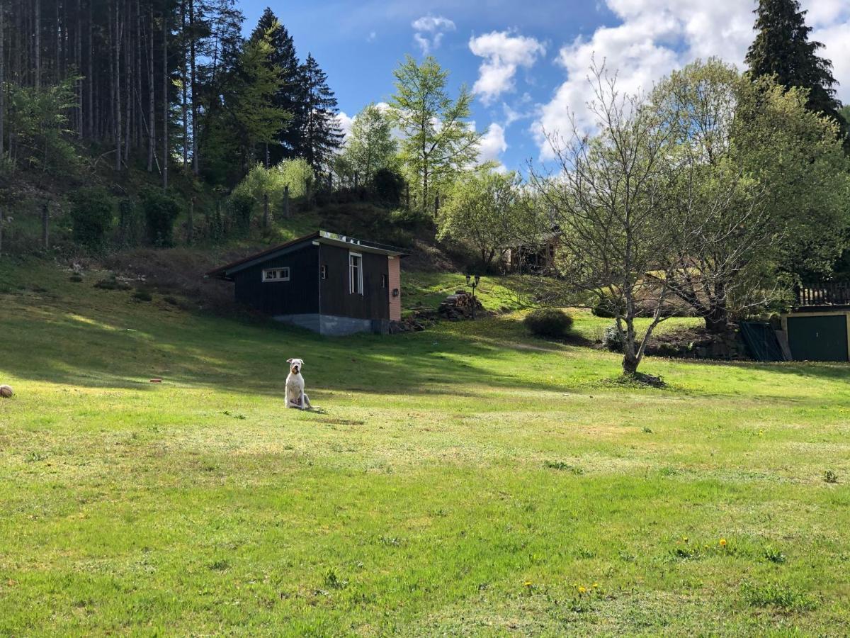 Le Clara Villa Saulxures Bagian luar foto
