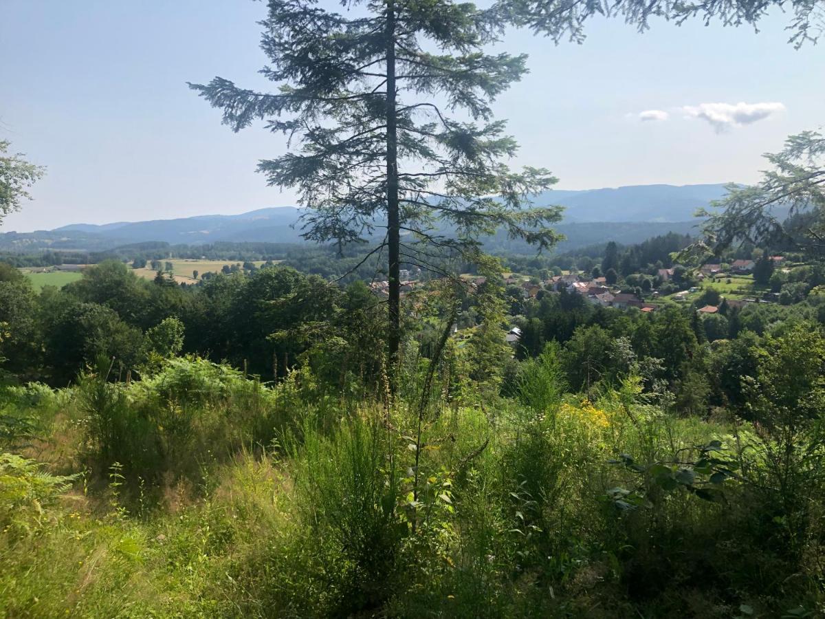 Le Clara Villa Saulxures Bagian luar foto