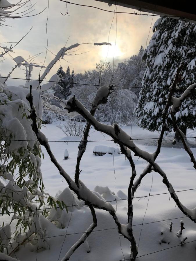 Le Clara Villa Saulxures Bagian luar foto