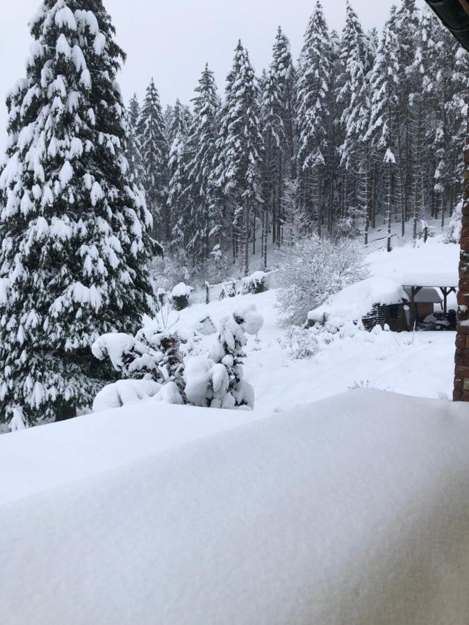 Le Clara Villa Saulxures Bagian luar foto