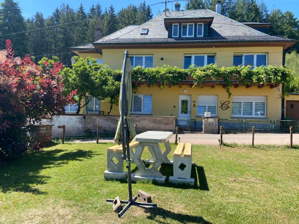 Le Clara Villa Saulxures Bagian luar foto