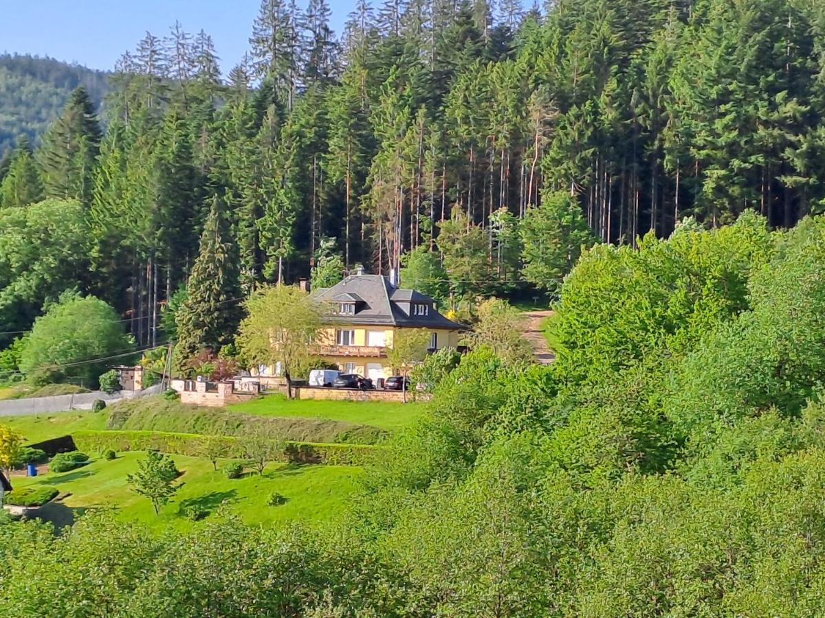 Le Clara Villa Saulxures Bagian luar foto